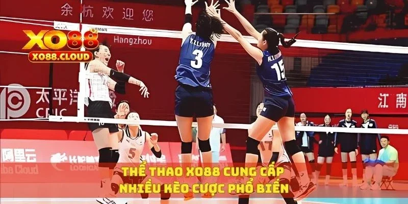 Thể thao XO88 cung cấp nhiều kèo cược phổ biến