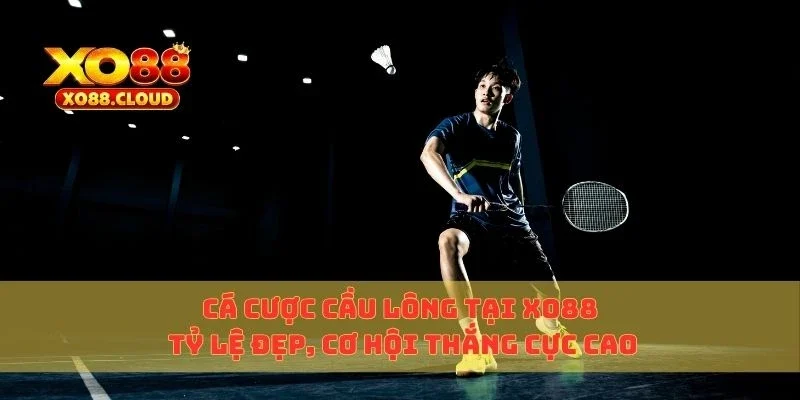 cá cược cầu lông