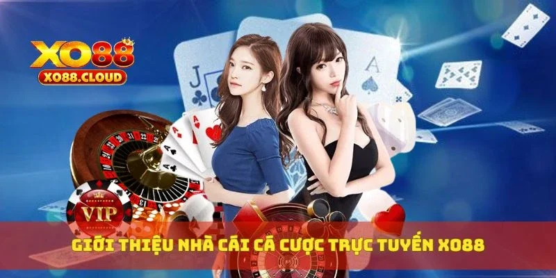 Giới thiệu nhà cái cá cược trực tuyến XO88